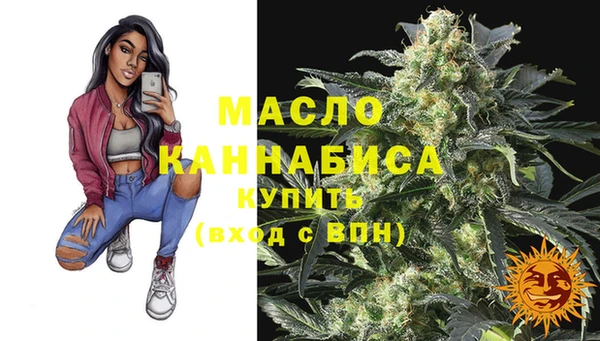 прущий лед Новозыбков