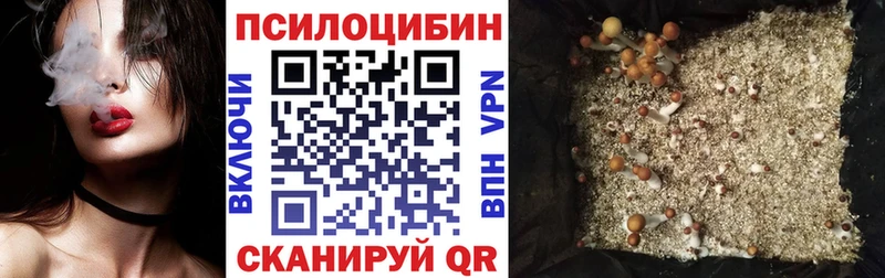 гидра tor Сокол Псилоцибиновые грибы MAGIC MUSHROOMS