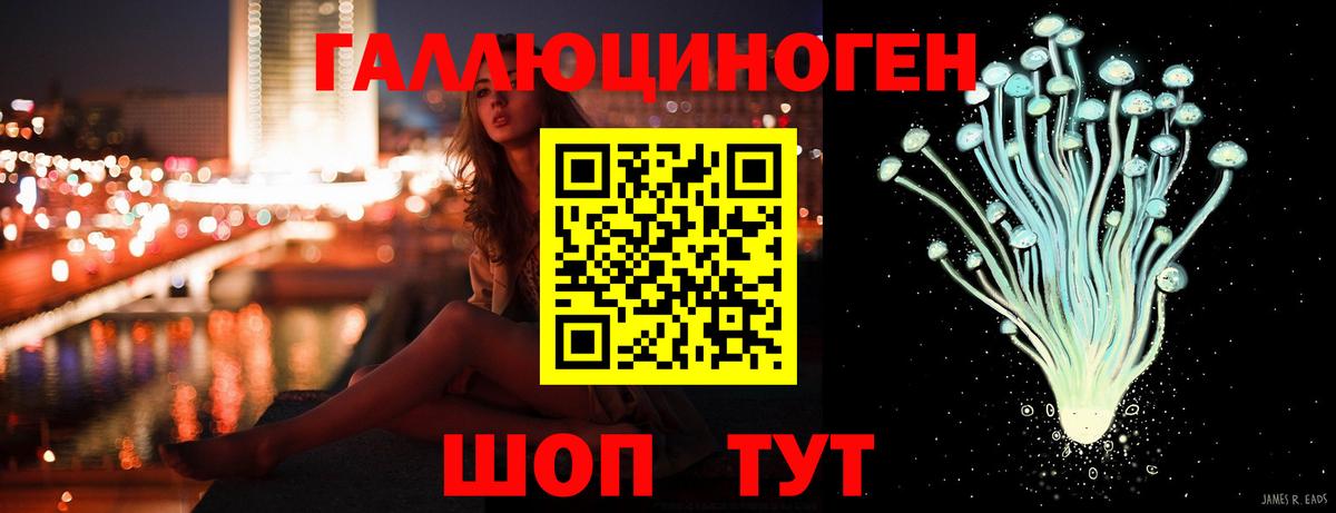 где купить   Галлюциногенные грибы Psilocybe  Вход с VPN  Галлюциногенные грибы Psilocybine cubensis  Сокол 